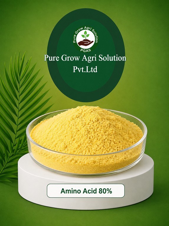 Amino Acid 80%