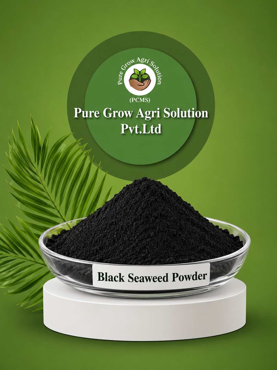 Black Seaweed Powder